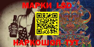 Альфа ПВП Ачхой-Мартан