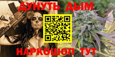Альфа ПВП Ачхой-Мартан
