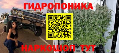 Альфа ПВП Ачхой-Мартан