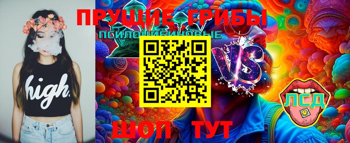 Галлюциногенные грибы Psilocybe Артём