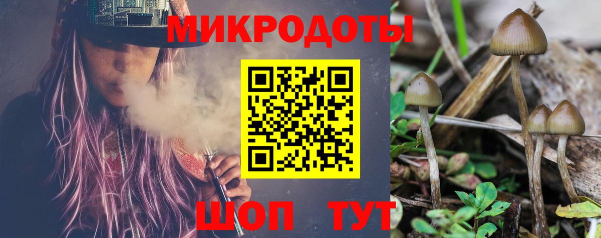 Галлюциногенные грибы Psilocybe  хочу   Артём  Псилоцибиновые грибы мухоморы  Вход с VPN 